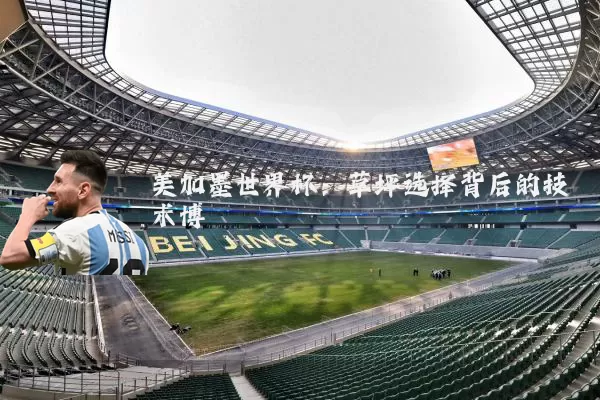 美加墨世界杯：草坪选择背后的技术博弈